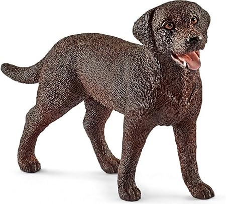 miniature chesapeake bay retriever