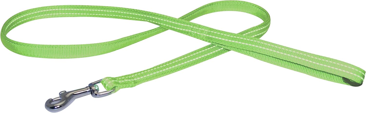 CROCI Nylon Soft Leash, 15 x 1200 mm, Green