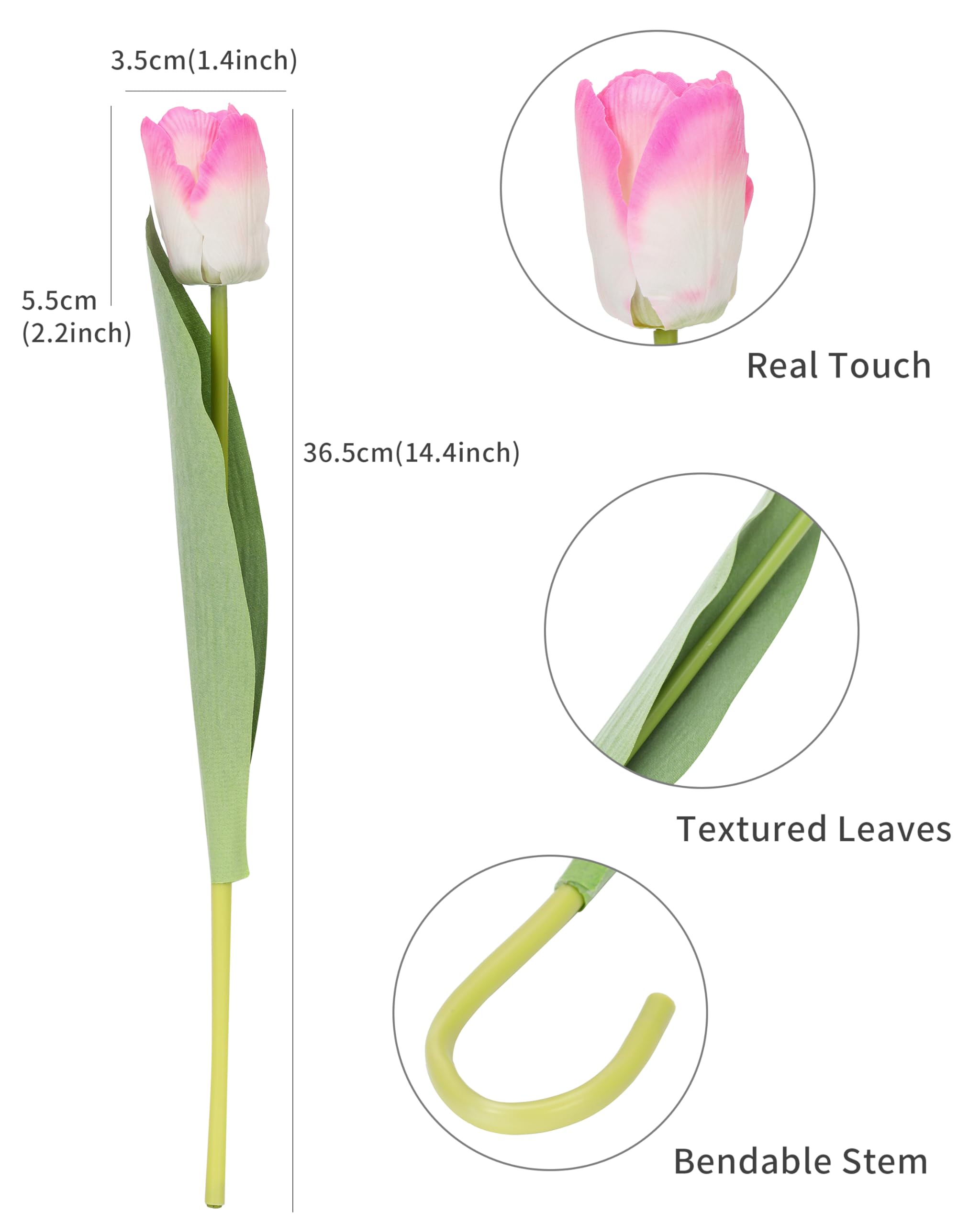 View 2