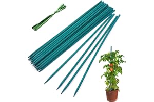 Garden Wood Plant Stakes Green Bamboo Sticks,HAINANSTRY Sturdy Floral Plant Support Stakes Wooden,Wooden Sign Posting Garden Sticks(25 Pack 18 Inches)