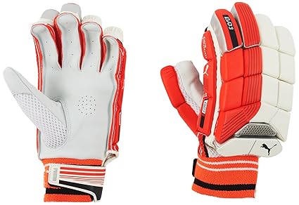 puma cricket gloves