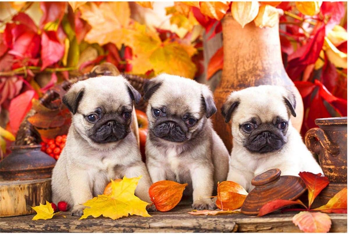 LIZELUO 1000 Piece Jigsaw Puzzle Three Pugs Creative Unique Gift Personalized Game Adults Kids Eductional Toys