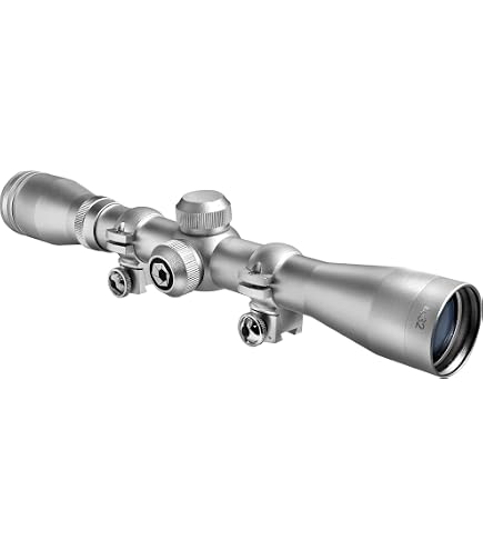 Amazon.com : Hammers Stainless Silver Chrome 10/22 Rifle Scope 3