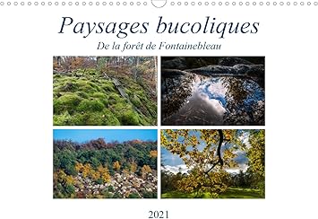 Paysages Bucoliques Calendrier Mural 2021 Din A3 Horizontal Makhloufi Djamal 9781325515066 Amazon Com Books