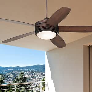 Indoor Outdoor Ceiling Fan 