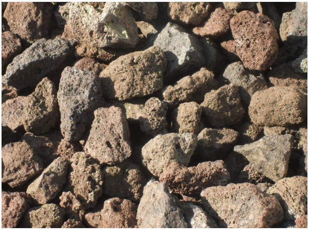 Der Naturstein Garten 10 kg Grill Lava Steine 32-56 mm - Gasgrill Elektrogrill Lavastein Lavasteine Kies Kiesel Aquarium - Lieferung KOSTENLOS