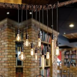 GOENDR E26 40W Edison Bulbs, ST64 2700K Warm