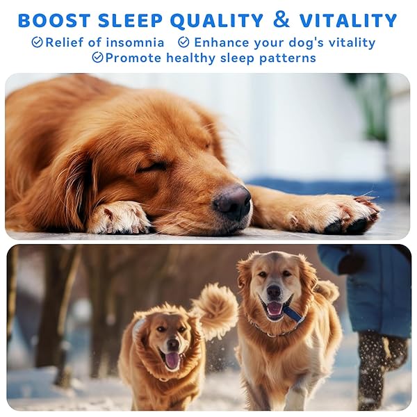KURNISO MELATONIN FOR DOGS-DOG ANXIETY RELIEF, DOG ESSENTIALS FOR RELAX, SLEEP & STRESS REDUCE, PROMOTES OVERALL HEALTH LIQUID MELATONIN, POWERFUL DOG SLEEP AID, 60ML