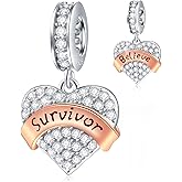 GEMDAZZ Family Theme Charm, 925 Sterling Silver Mother Father Daughter Son Sister Nana Wife Husband Grandma Friend Godmother Goddaughter Clear Pave Heart Pendant Beads, fit European Women Bracelet