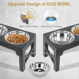 Polegas Upgraded Raised Dog Bowl with Stand 2 Bowls 5 Height Adjustable view 7