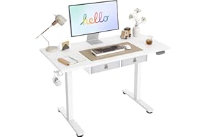 Agilestic Standing Desk with 2 Drawers, Adjustable Height Electric Desk with Storage, 48 x 24 Inches Sit Stand Up Computer Table for Work Office Home, White