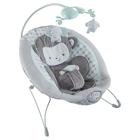 comfort & harmony monkey bouncer