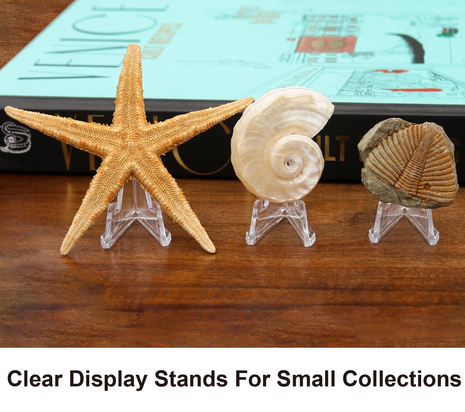 10 Pack 1.4 Inch Mini Acrylic Easel Stand, Tabletop Small Holder, Clear Display Stand for Challenge Coins, Medals, Business Cards, Photos, Badges, Signs