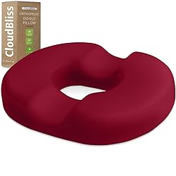 CloudBliss Donut Pillow Seat Cushion Chair Pad for