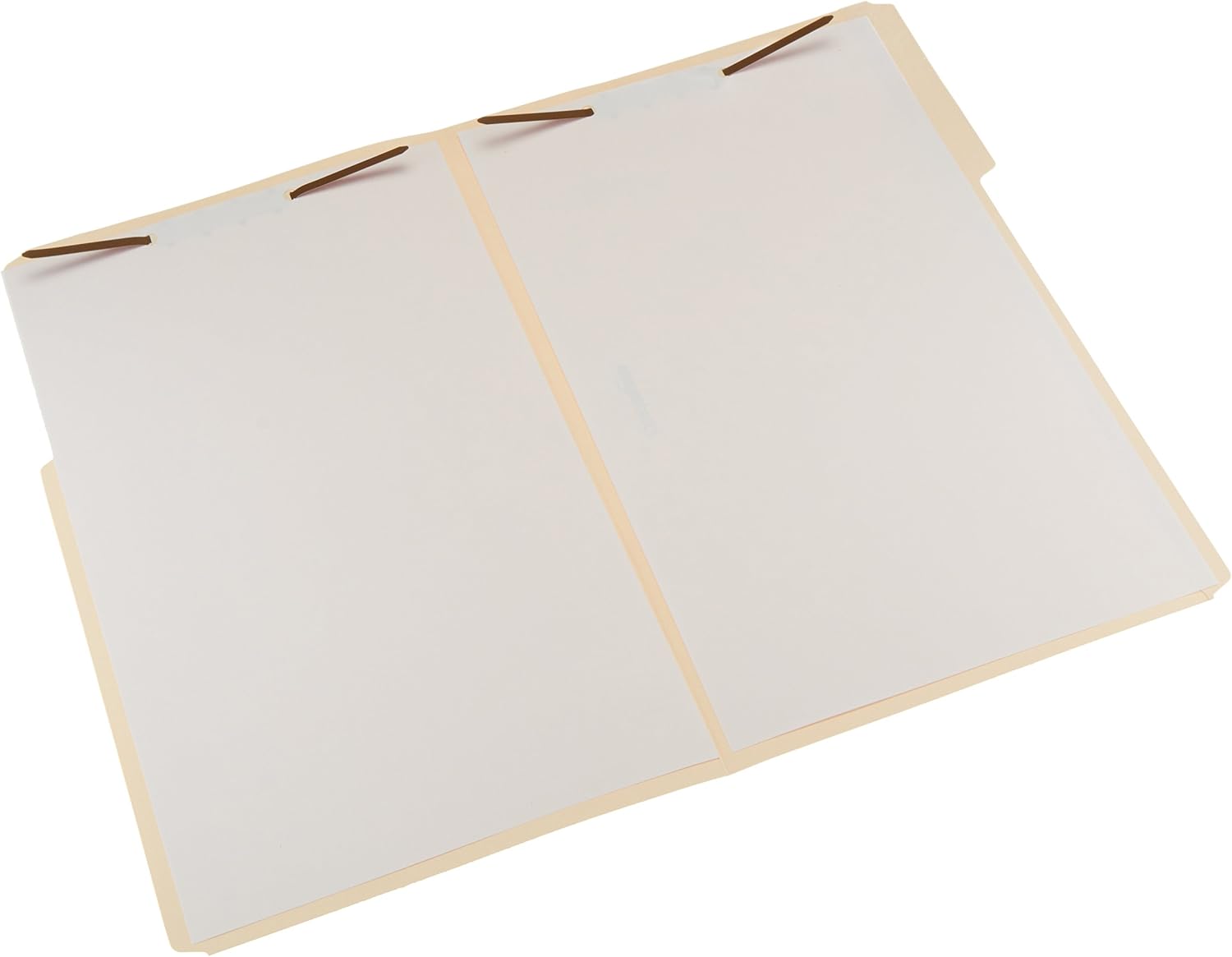 Basics AMZ201 Manila File Folders with Fasteners - Letter Size, 100-Pack : Office Products