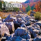 Missouri, Wild & Scenic 2017 Mini 7inch x 7inch Hanging Square Wall The Show Me State Kansas City Oz by 