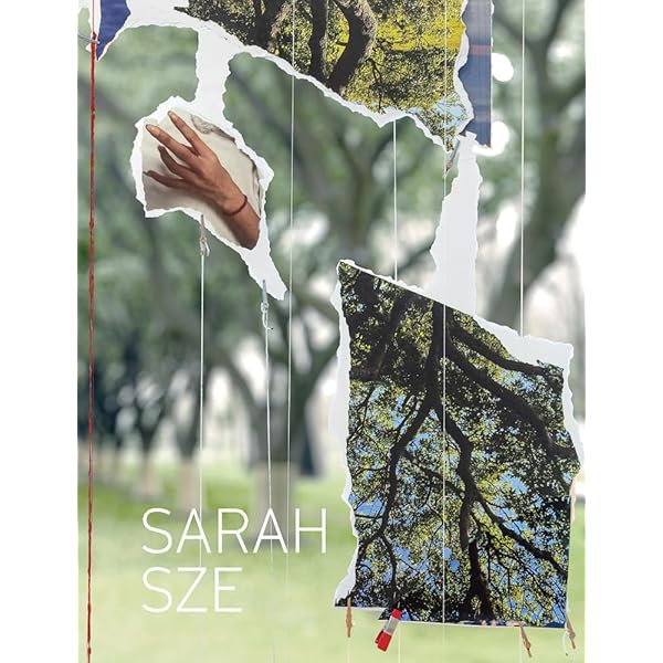 Sarah Sze (Phaidon Contemporary Artists Series): Enwezor, Okwui