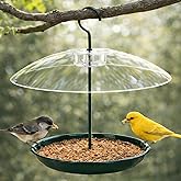 Gtongoko Platform Bird Feeder for Outdoors Hanging with 12” Weatherproof Dome, Squirrel-Resistant Metal Tray, 2 Lbs Seed Capacity, 360° Multi-Bird Feeding, Green