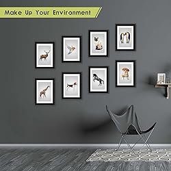 MUYE 5x7 Picture Frames Set of 4,High Definition