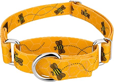 country brook design martingale dog collar
