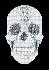 Amazon.com: Diamond Dotz Complete Diamond Facet Art Kit Crystal Skull