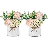 BLOSMON Table Decor Artificial Flowers Vase 7 Inch Small Fake Champagne Flower Arrangement 2pcs Floral Arrangement for Tables centerpieces Kitchen Dining Room Decorations Flower in Vase Silk Roses