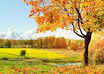 Amazon Com Leowefowa 10x8ft Autumn Backdrop Forest Trees Nature Golden Leaves Fall Backdrops For Photography River Rural Vinyl Photo Background Kids Adults Harvest Greeting Studio Props Camera Photo Amazon Com Leowefowa 10x8ft Autumn Backdrop Forest Trees Nature Golden Leaves Fall Backdrops For Photography River Rural Vinyl Photo Background Kids Adults Harvest Greeting Studio Props Camera Photo