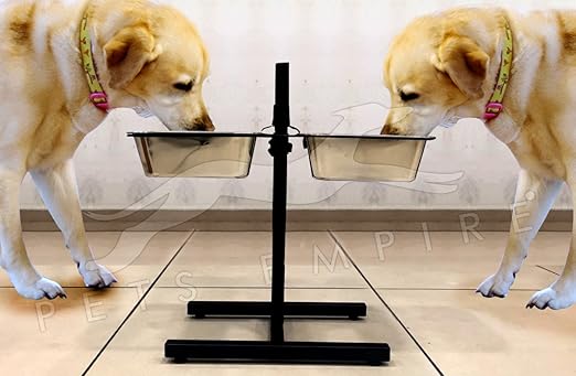 Pets Empire Stainless Steel Double Stand Dog Food Square Bowl (Large, 2 X 2800 ml)