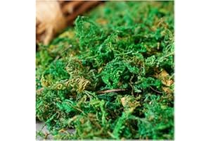 DONGAI 10OZ Artificial Moss Green Grass，Natrual Moss for Fake Plants Indoor for Home & Office Decor, DIY Crafts (Green - 10oz)