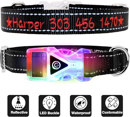 Tagme Réfléchissant Led Collier De Chien Personnalisé Avec