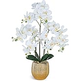Ziwon Artificial Orchid Flowers & Plants Potted in Ceramic Pot, White Faux Phalaenopsis Orchids for Table Centerpiece, Realistic Fake Flower Arrangement for Home Office Decor Indoor