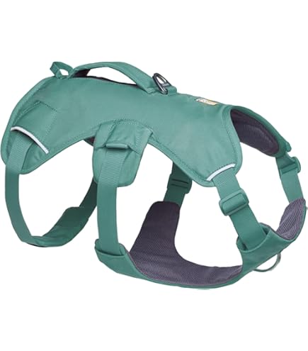 Amazon.com: Ruffwear, Flagline Dog Harness, Lightweight and