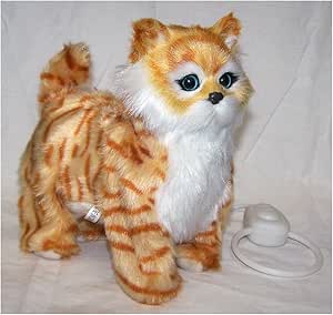 broly sh figuarts amazon