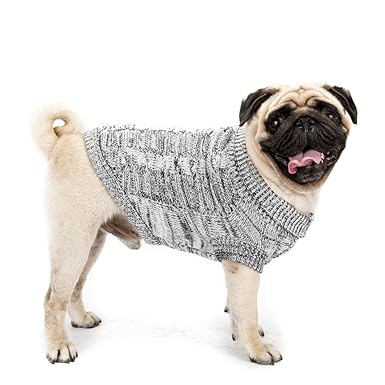 vetements chien