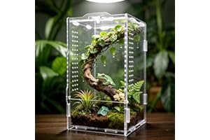 GTSEEMUU Jumping Spider Enclosure, Insect Terrarium, Bug Cage, Acrylic Terrarium for Tarantula, Snail, Praying Mantis, Frog, 