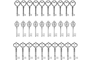 SALOME IDEA 30PCS Assorted Antique Skeleton Keys, Vintage Steampunk Keys, Juliet Collection (Black)