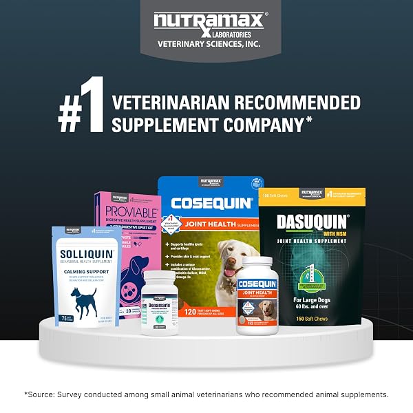 NUTRAMAX DASUQUIN FOR SMALL TO MEDIUM DOGS, JOINT HEALTH SUPPLEMENT, CONTAINS GLUCOSAMINE FOR DOGS, PLUS CHONDROITIN, ASU, MSM AND MORE, SUPPORTS HEALTHY JOINTS, SOFT CHEWS, 42 COUNT
