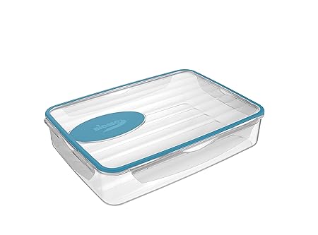 BIESSE Tupper hermético 4 Cierres de 3,1 litros para Cocina ...