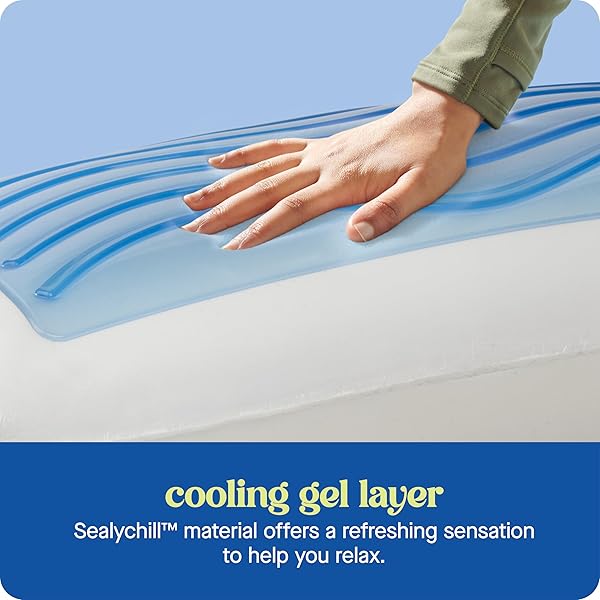 SEALY DREAMLIFE STANDARD SIZE MEMORY FOAM COOLING PILLOW WITH SEALYCHILL COOLING GEL, REMOVABLE MACHINE-WASHABLE COVER, MADE IN THE USA