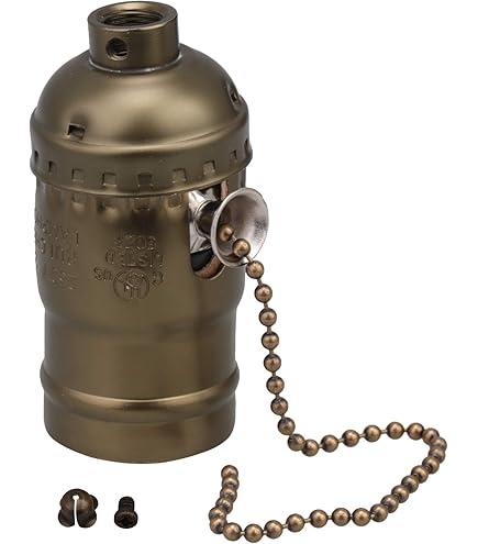 海外購入　飾り皿 Tujoe 2 Pcs Edison Decorative Light Bulb Metal Cage Light