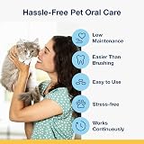 ProDen PlaqueOff 60g Salmon Bites Cat Dental Care Bundle view 4