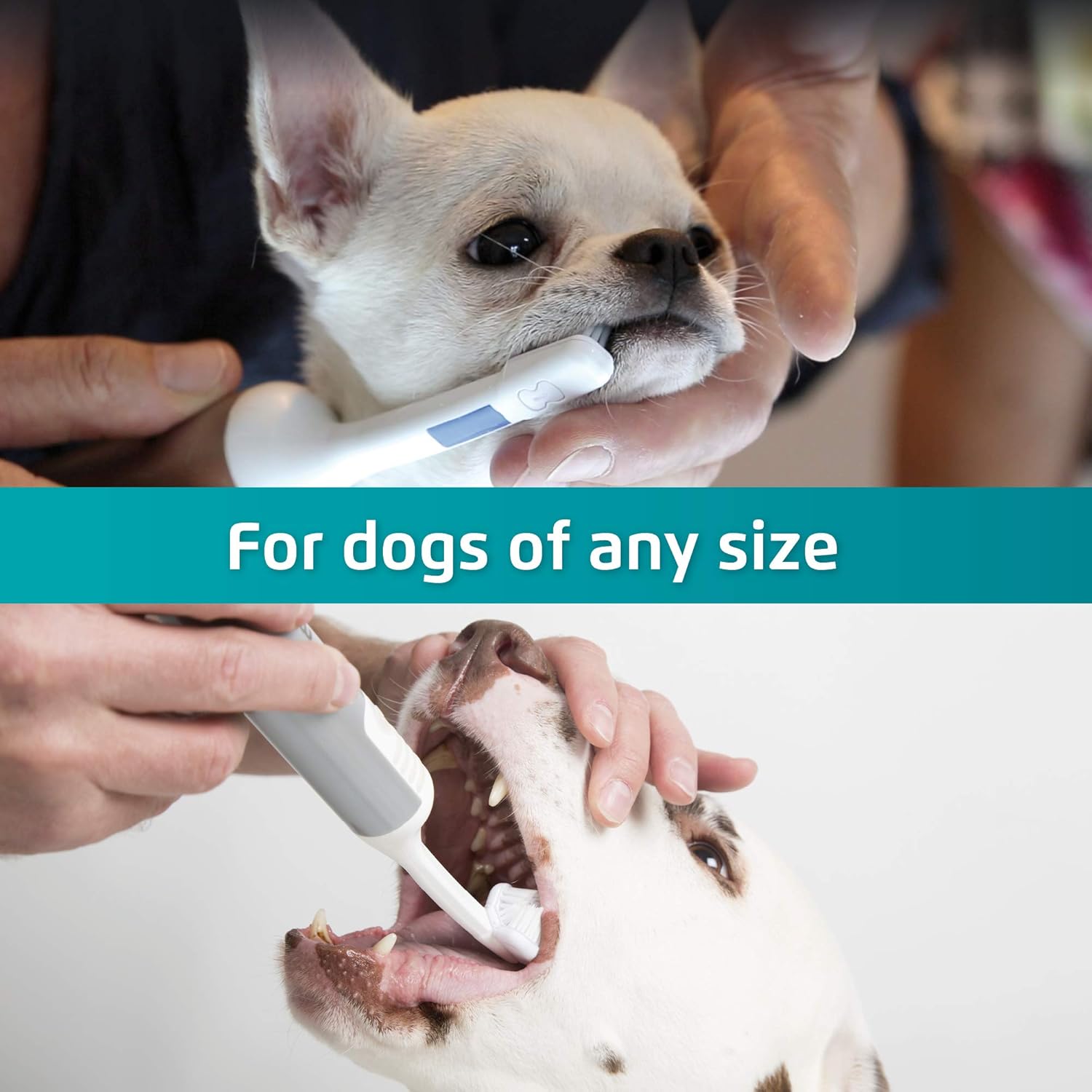 Amazon Com Mira Pet Ultrasound Toothbrush For Dogs Starter Kit