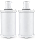 Amazon.com: 100186 Water Filter Replacement Compatible with Amway