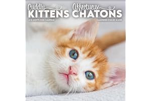 2026 Cuddly Kittens (Bilingual French) Mini Wall Calendar (English and French Edition)