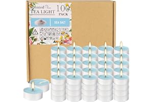 FCLAYVTS 100 Pack Scented Tealight Candles 4 Hours, Sea Salt Aromatherapy Candles for Votive Home, Wedding Holiday and Emergency (Sky Blue)