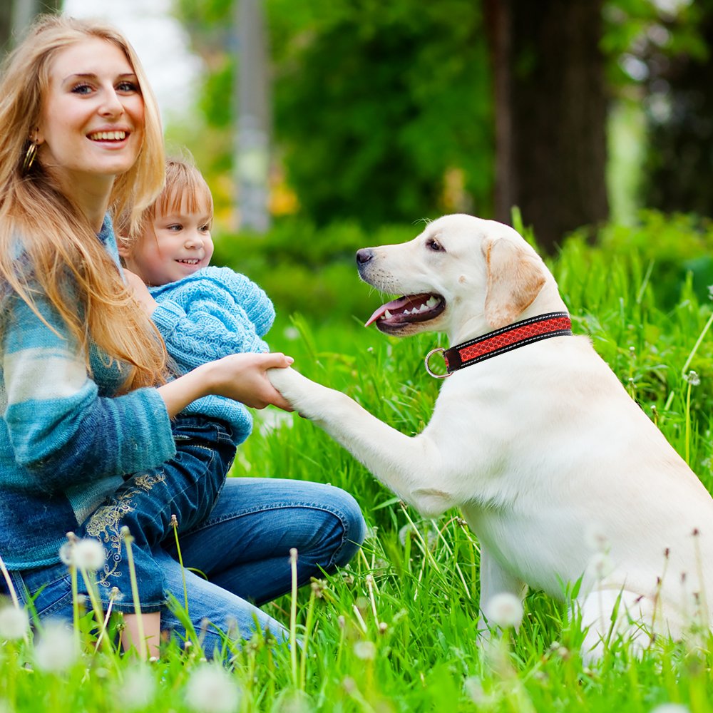 Reflective Dog Collar, Adjustable Waterproof Soft Mesh Fabric Pet Collars for Small, Medium, Large Dogs (M, RED)