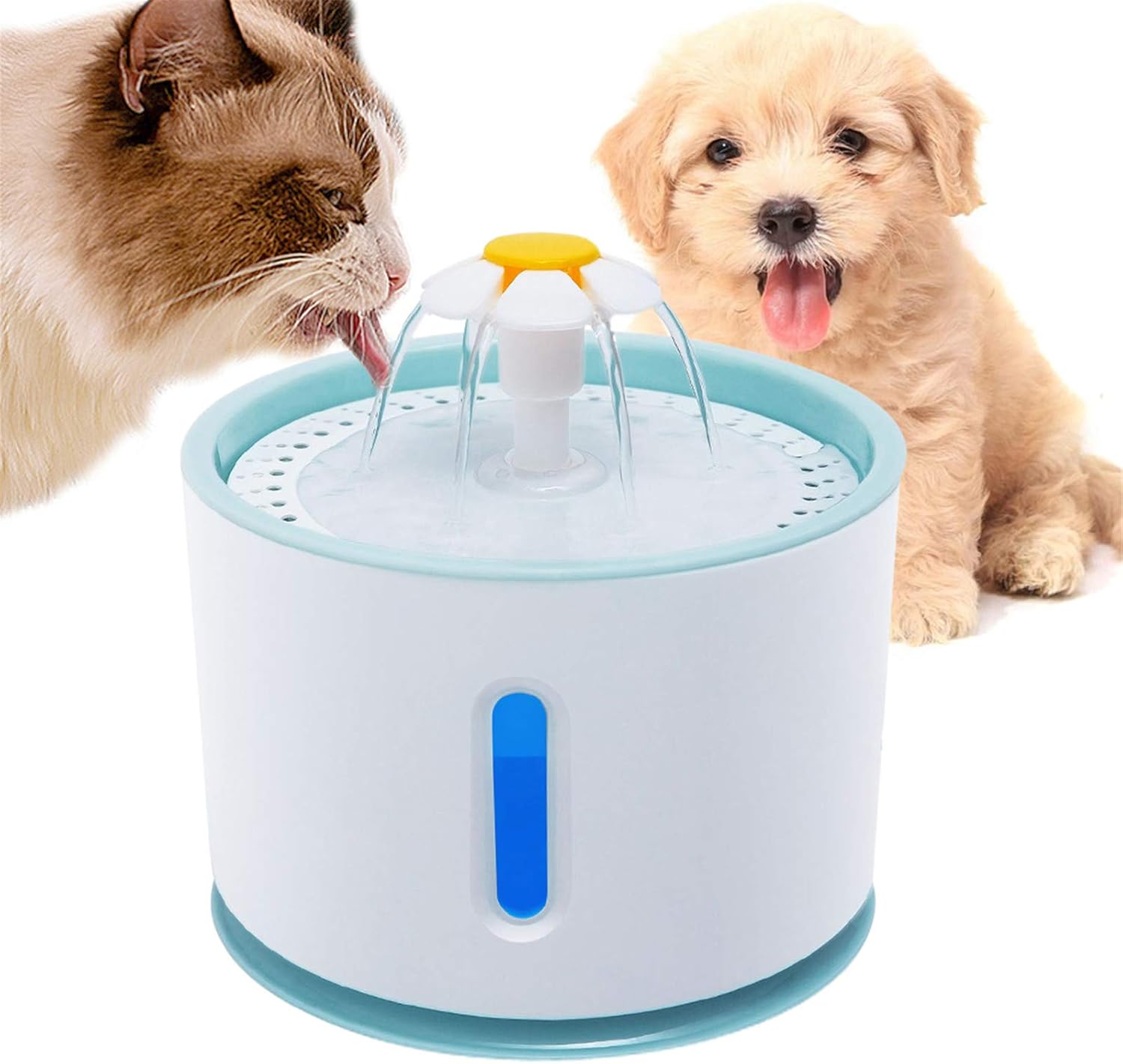 trinkbrunnen katze sensor