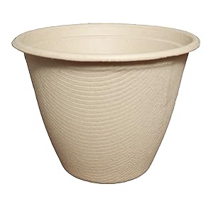 100% Compostable Bowls by World Centric, Made from Unbleached Plant Fiber, Soup Barrel Bowls, 16 oz (Pack of 500)