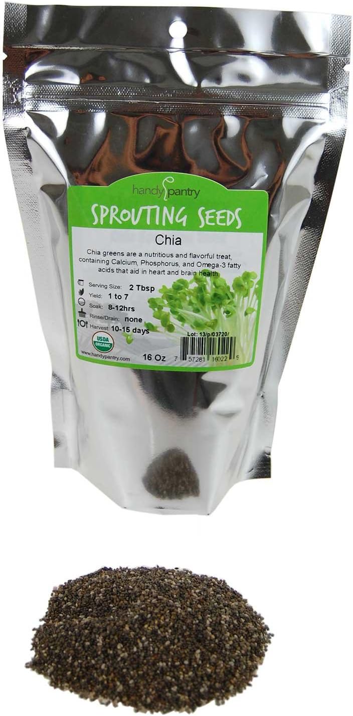 Best 1Lb Garden Seeds