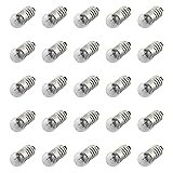 RuiLing 25-Pack E10 Small Light Bulbs Screw Base